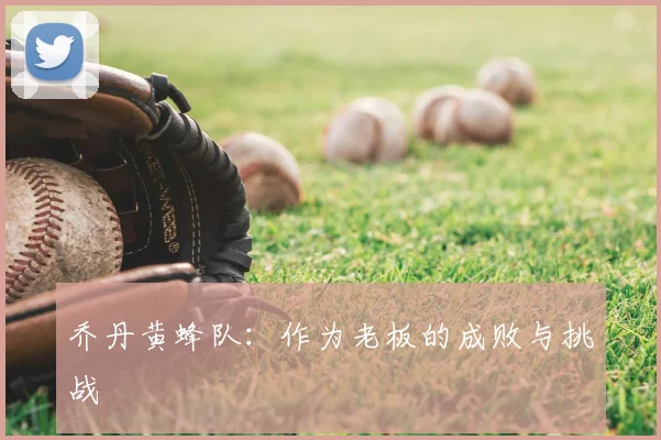 乔丹黄蜂队：作为老板的成败与挑战